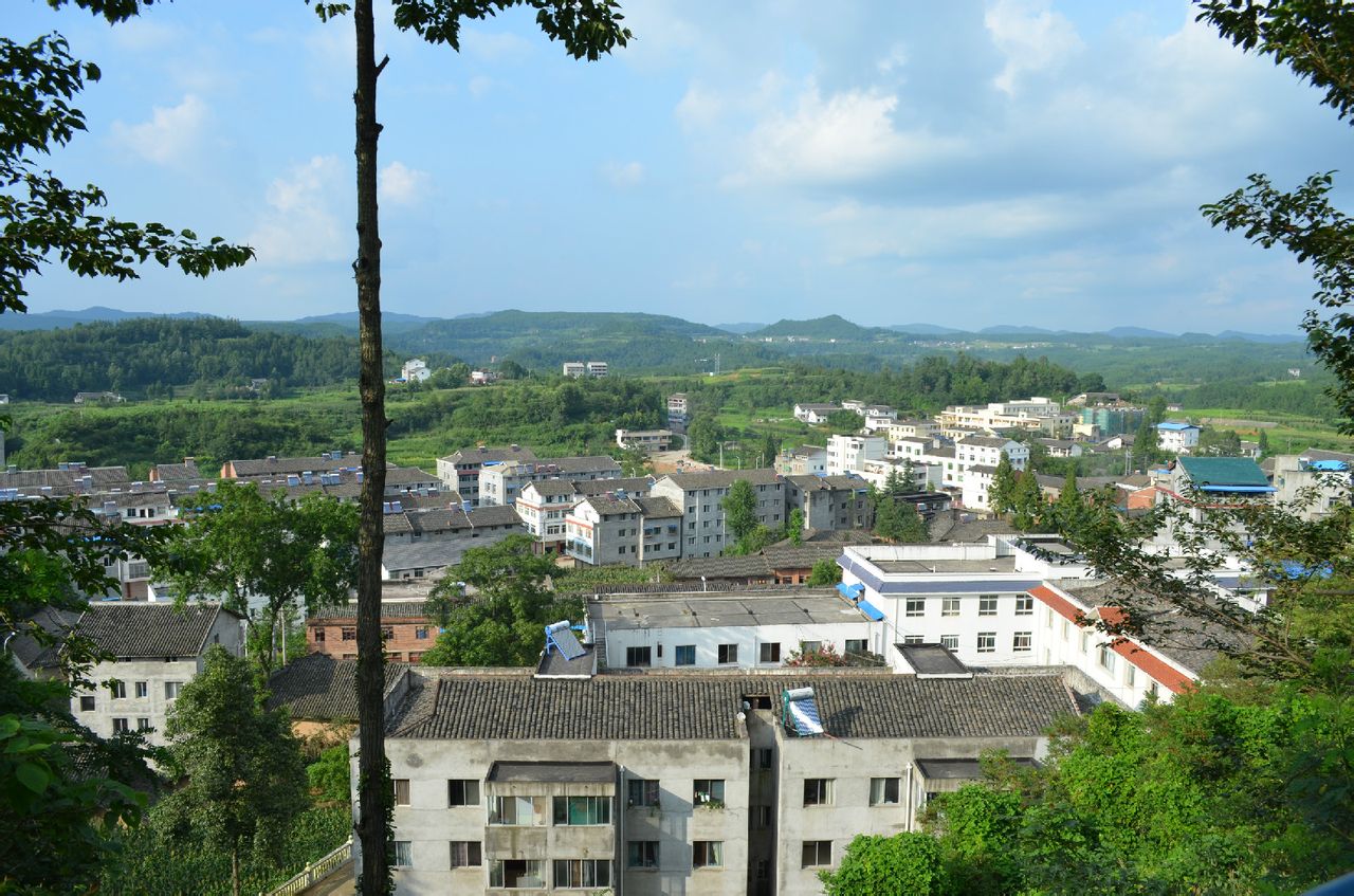 王家鎮(四川省廣元市昭化區王家鎮)