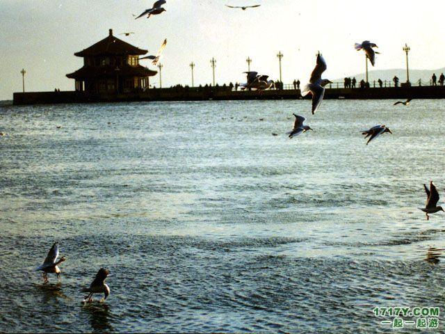 膠東半島海濱