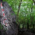 雲石山(雲石山)