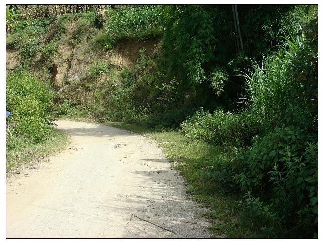 甘水田自然村通村道路