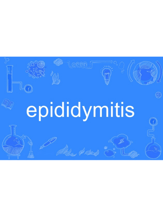 epididymitis