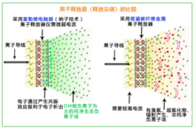 長壽素