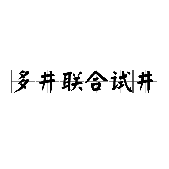 多井聯合試井