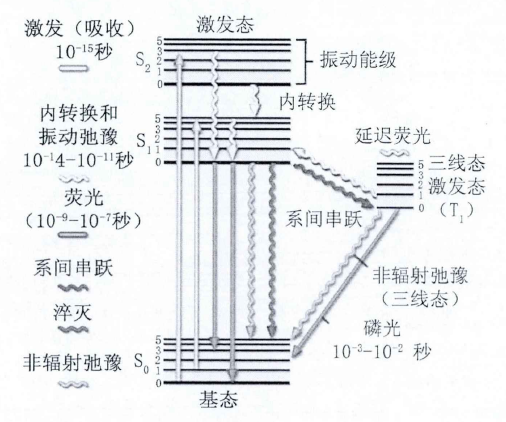 螢光成像