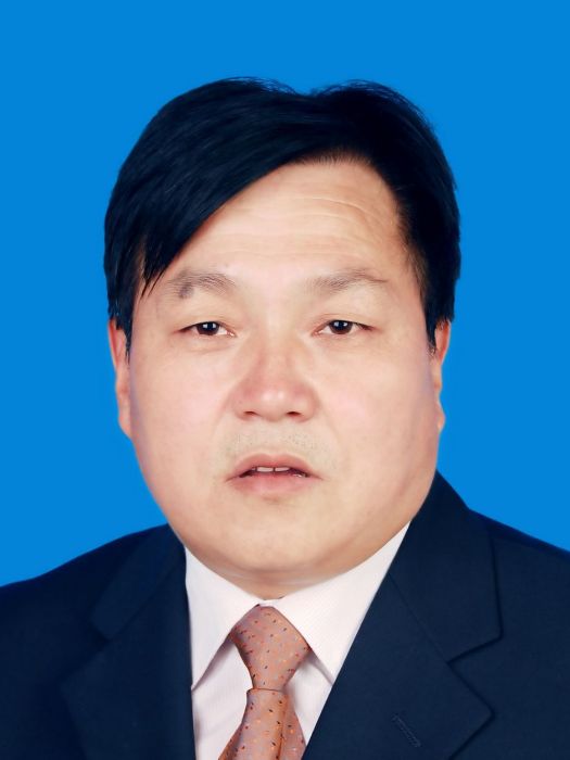 王忠義(陝西省渭南市審計局黨組成員、副局長)