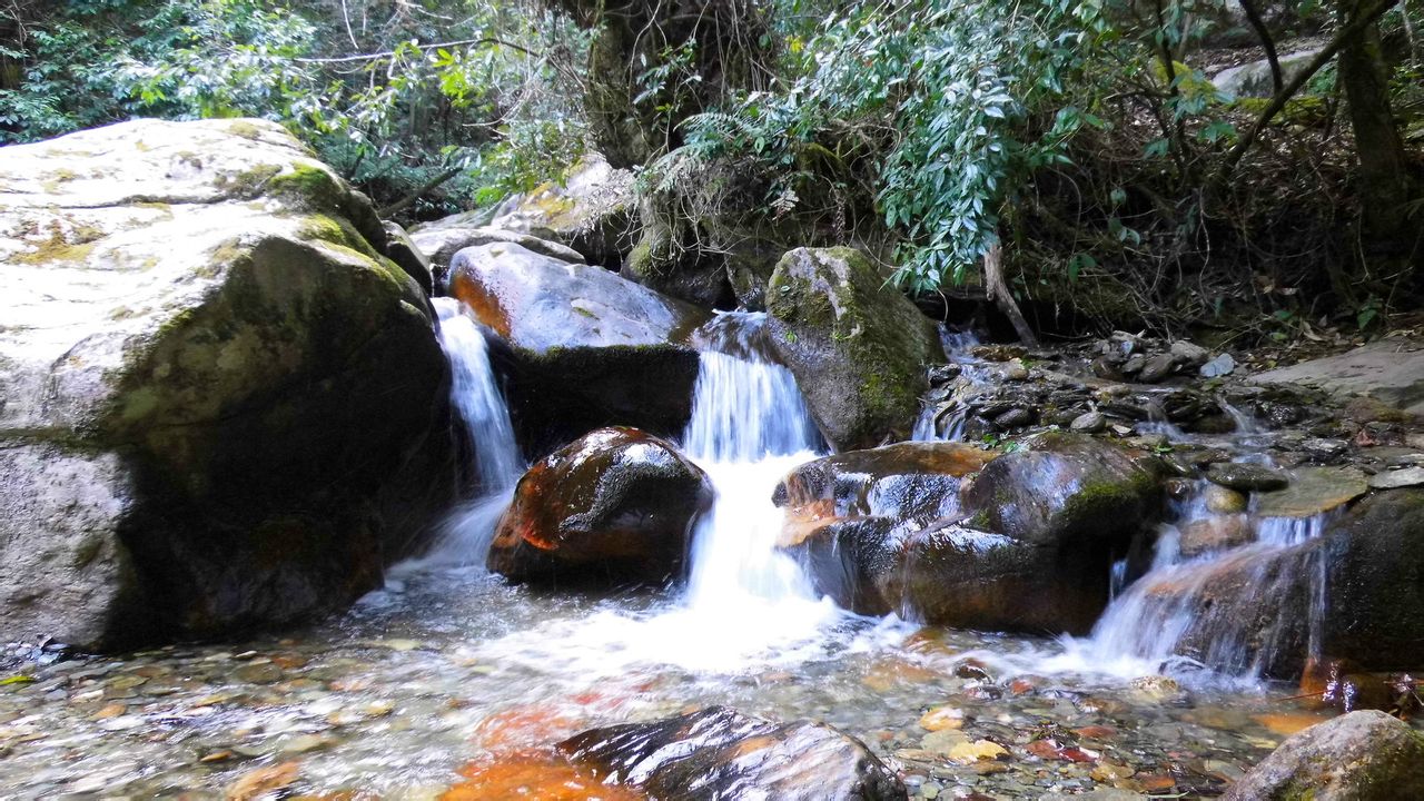 茶馬古道