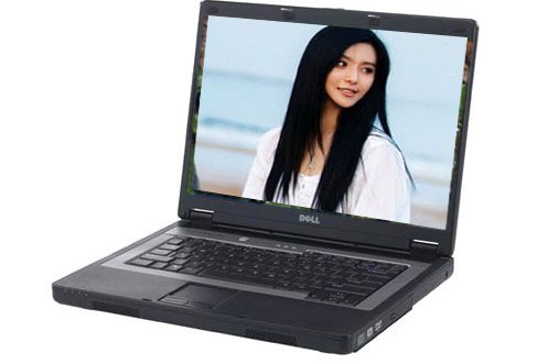 戴爾Inspiron 1300(N510601)