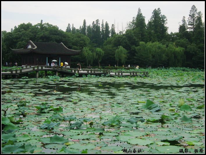 湖山春社