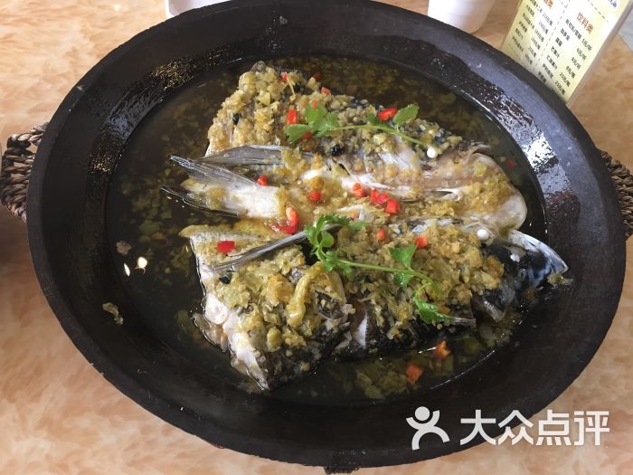 大口鯰之泡菜魚頭