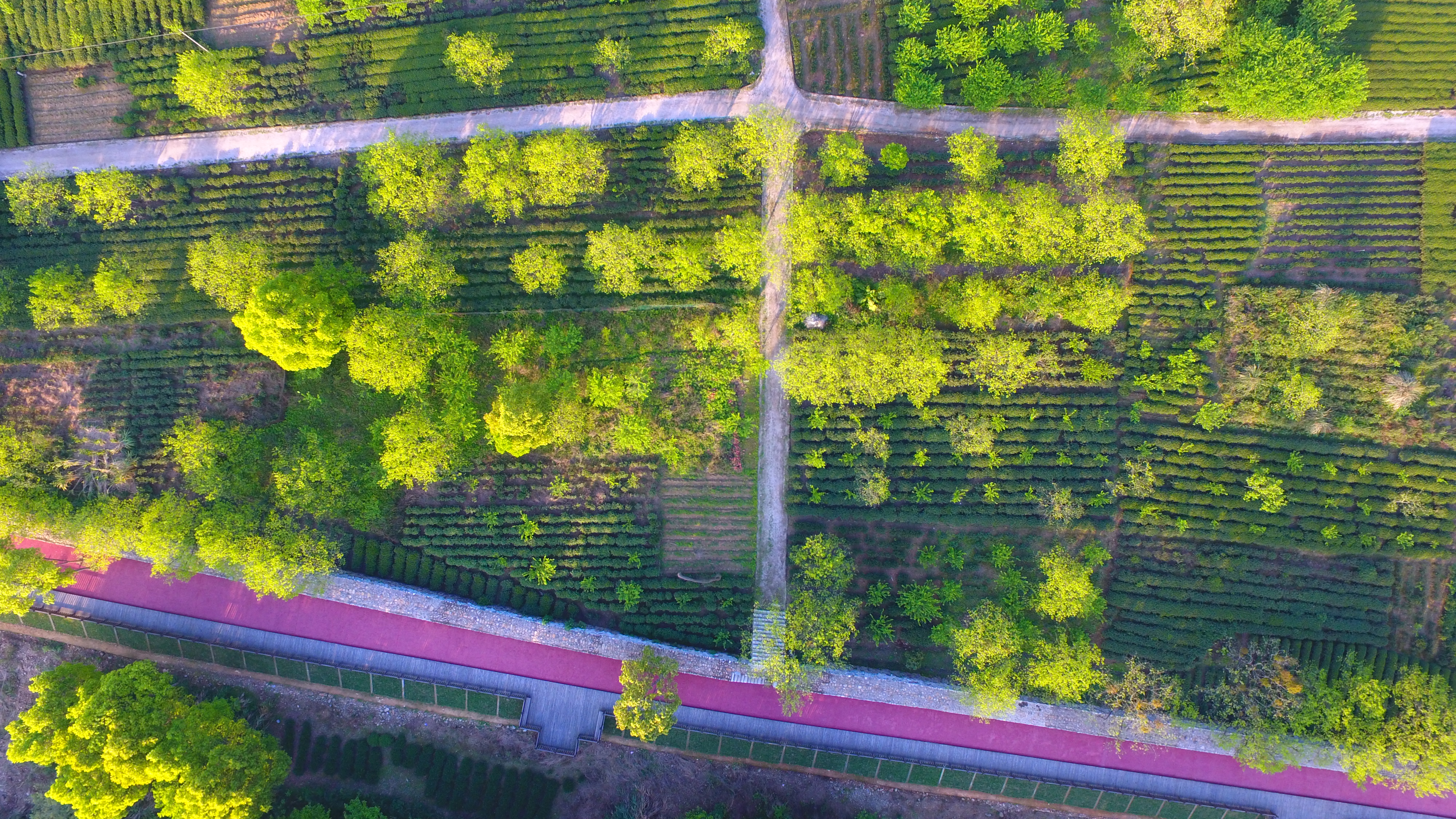 梧溪村