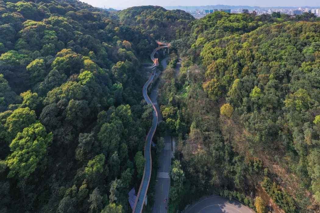 翠屏山景觀棧道