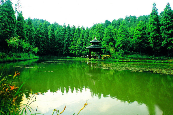 浙江銅鈴山國家森林公園