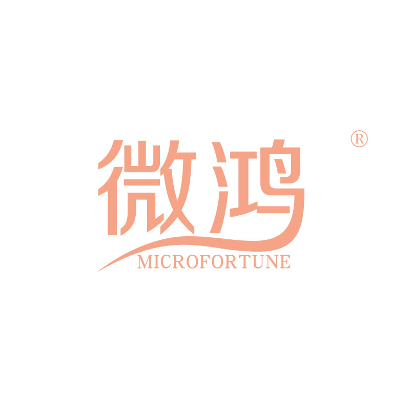 微鴻 MICROFORTUNE