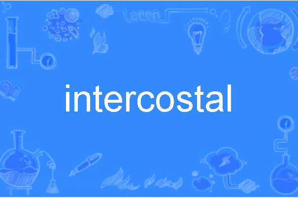 intercostal