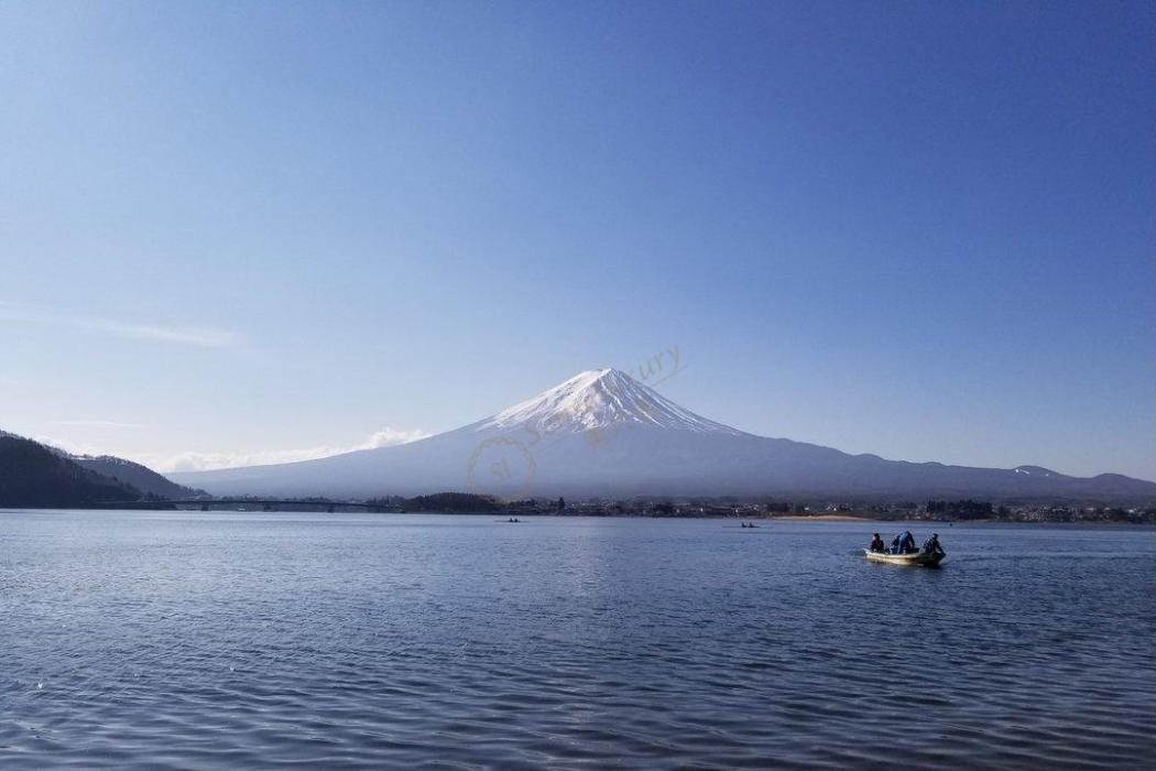 河口湖景觀