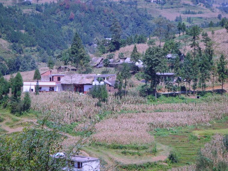 田壩自然村(雲南省東川區湯丹鎮梨坪村田壩自然村)