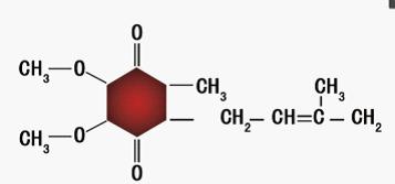 雙酶CoQ10