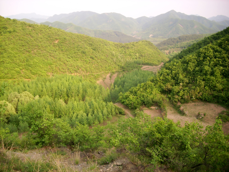 部落東北，無住禁作。