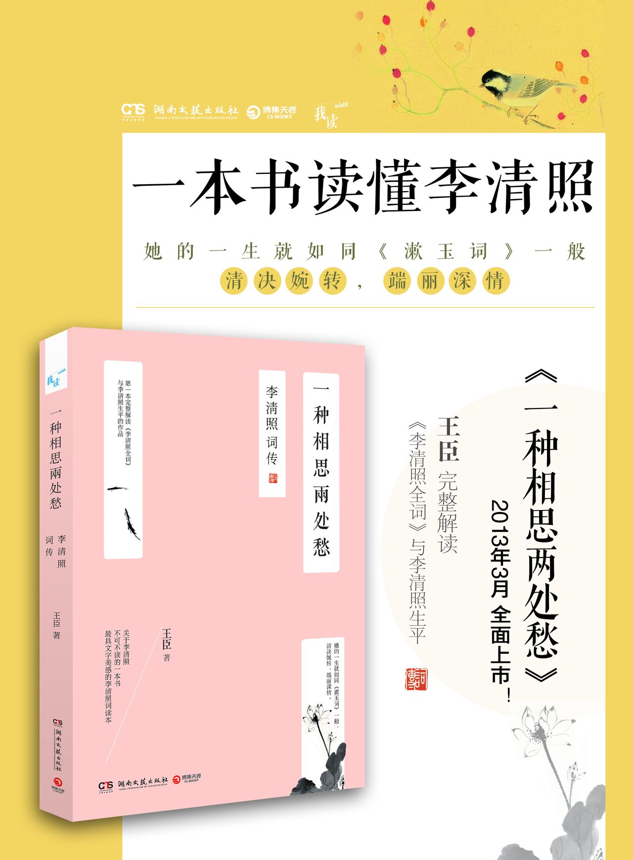 王臣(中國暢銷書作家)