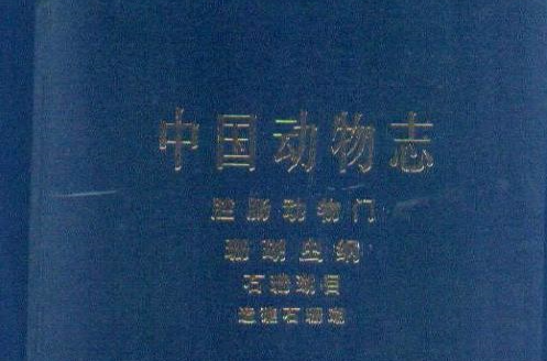 中國動物志腔腸動物門珊瑚蟲綱石珊瑚目造礁石珊瑚