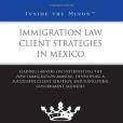 Immigration Law Client Strategies in Mexico