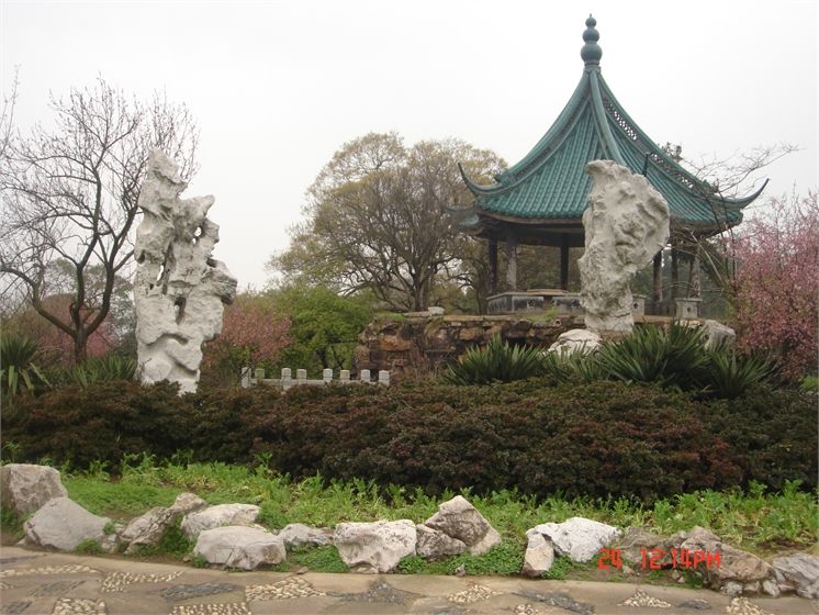 泰山梅園