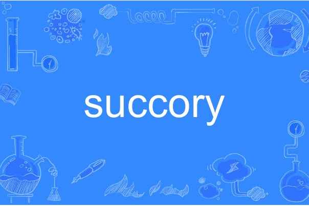 succory