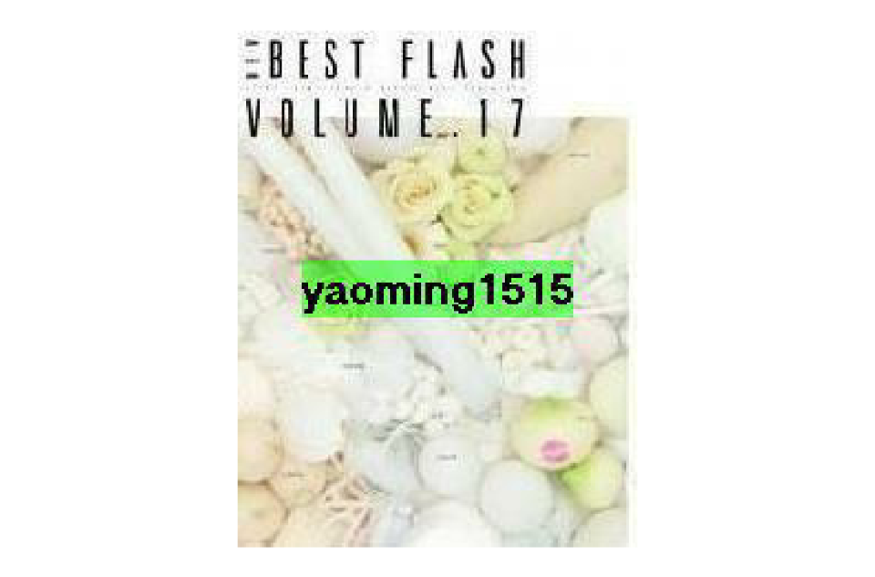 NEW BEST FLASH VOL.17 最佳設計 17