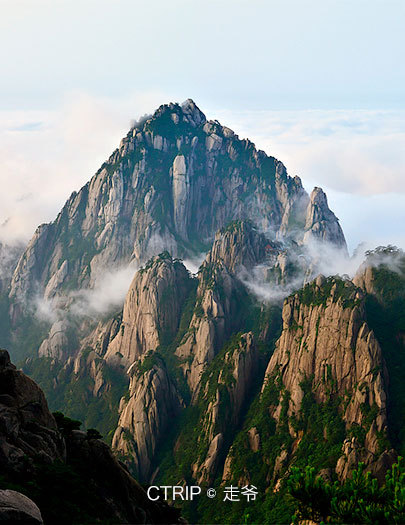 黃山世家