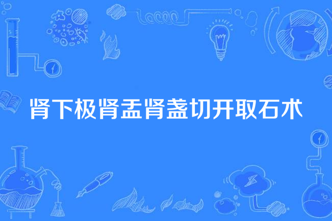 腎下極腎盂腎盞切開取石術