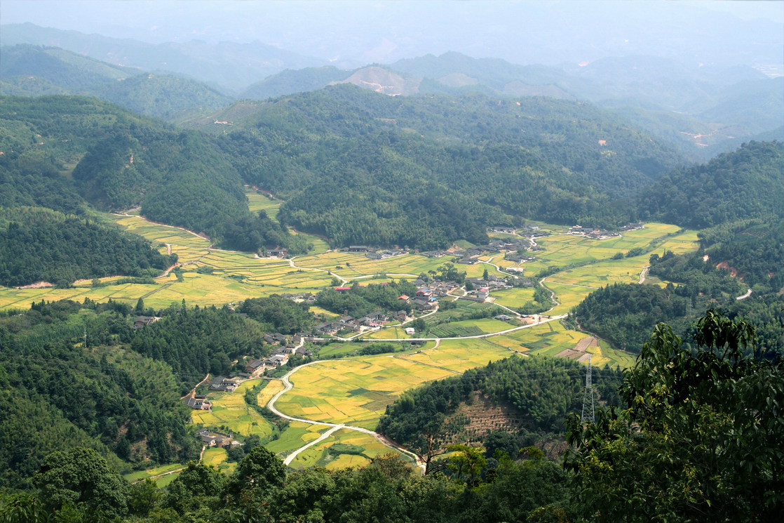 石峰村(福建永安市小陶鎮石峰村（石豐村）)