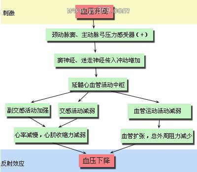 降壓反射