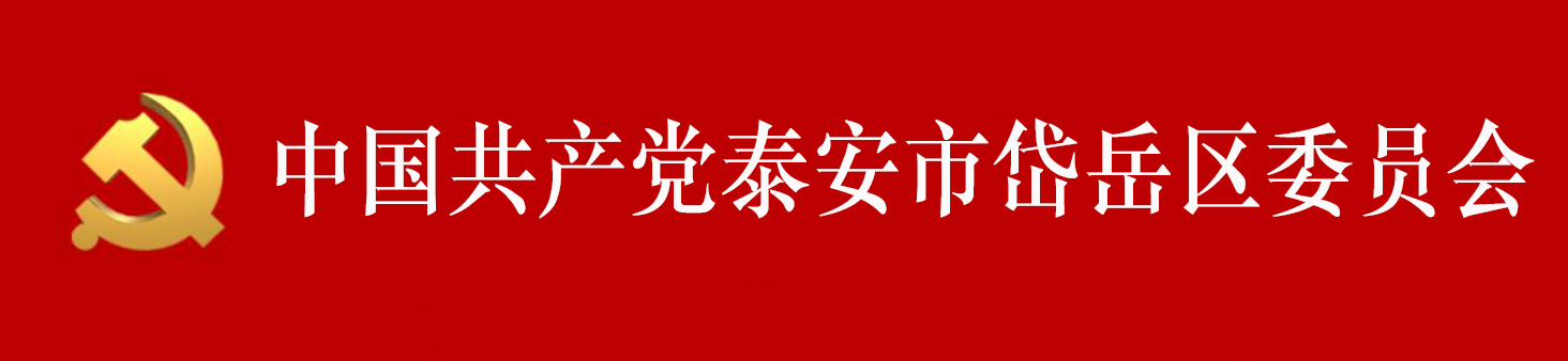 中國共產黨泰安市岱嶽區委員會