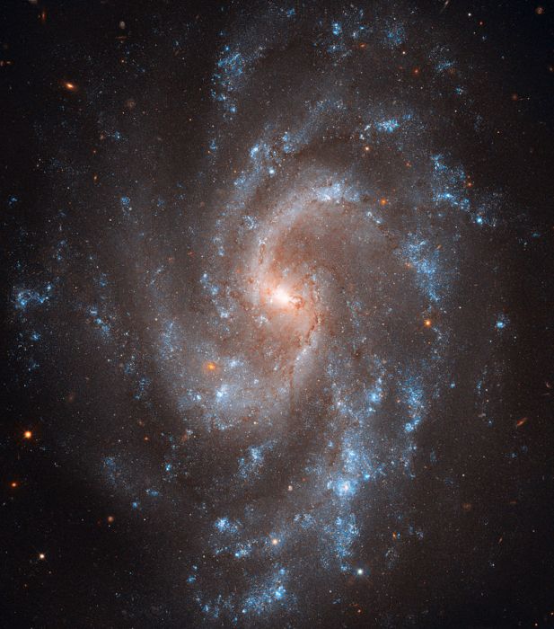 NGC 5584