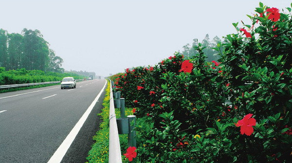 高橋—遂溪高速公路路面