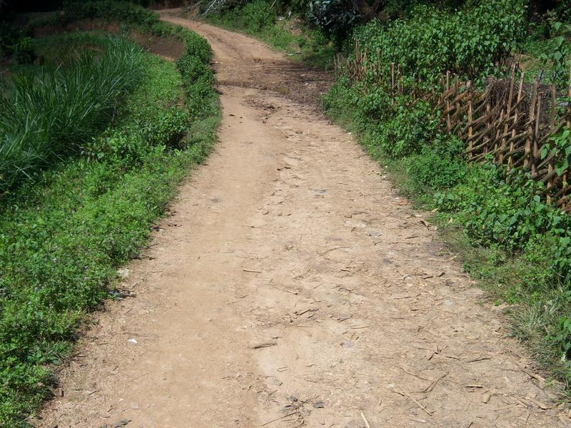 團山頭自然村-進村道路