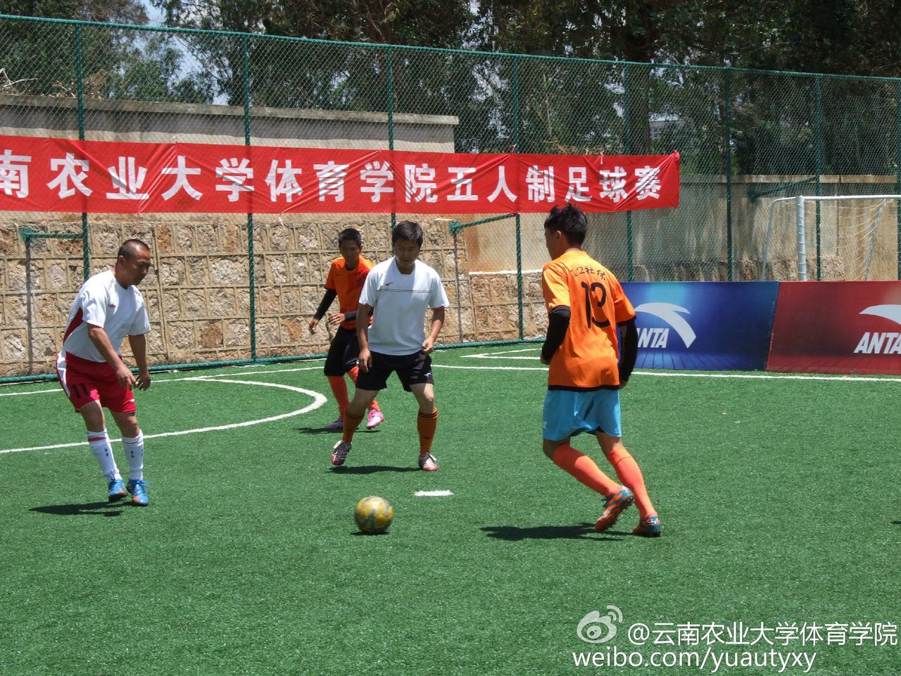 雲南農業大學體育學院