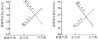 動態領導過程理論