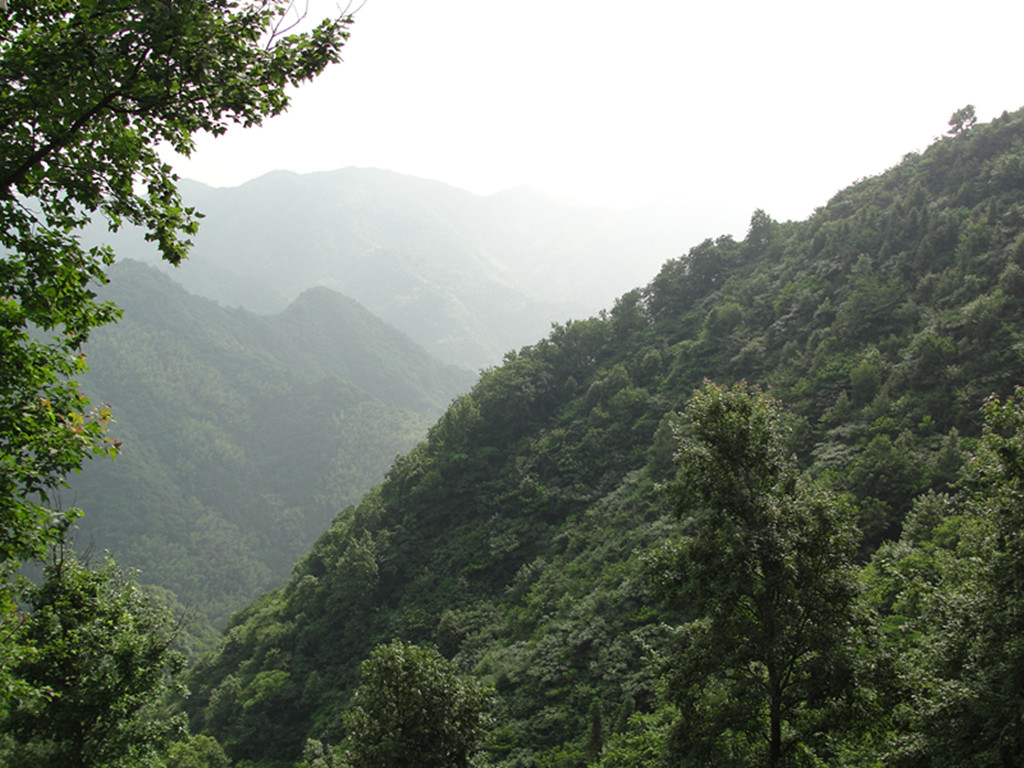 齊山沖