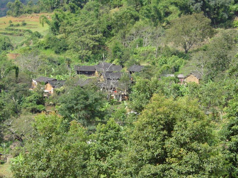 浪田壩自然村(雲南省昆明市湯丹鎮下轄村)