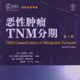 惡性腫瘤TNM分期(書籍)