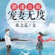 霸道總裁：寵妻無度(夜之芯著網路小說)