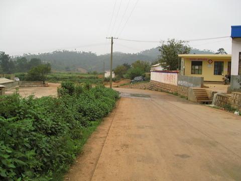 高甸村的進村道路