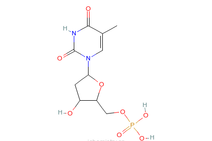 胸腺嘧啶脫氧核苷3-單磷酸銨鹽水合物