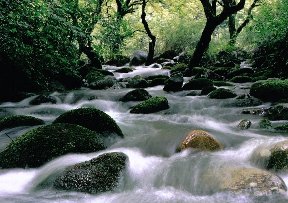 石阡佛頂山