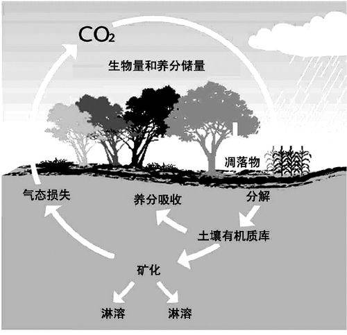 封閉生態系統