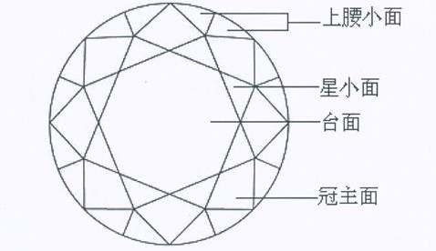 圖1梅花鑽石切工與標準圓鑽型的冠部圖