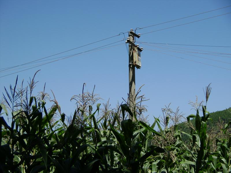 包穀垴村通電情況