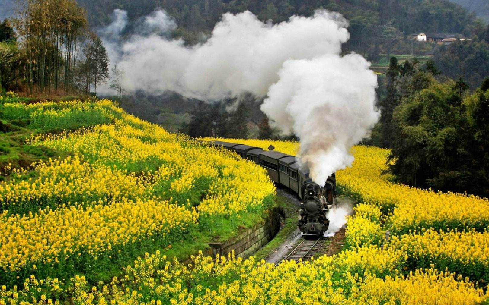 芭溝鎮嘉陽小火車