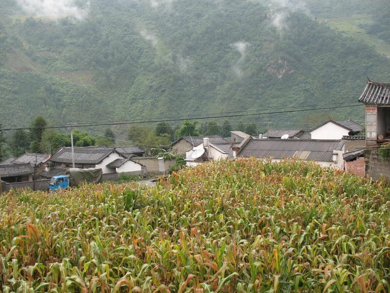 下龍壩村